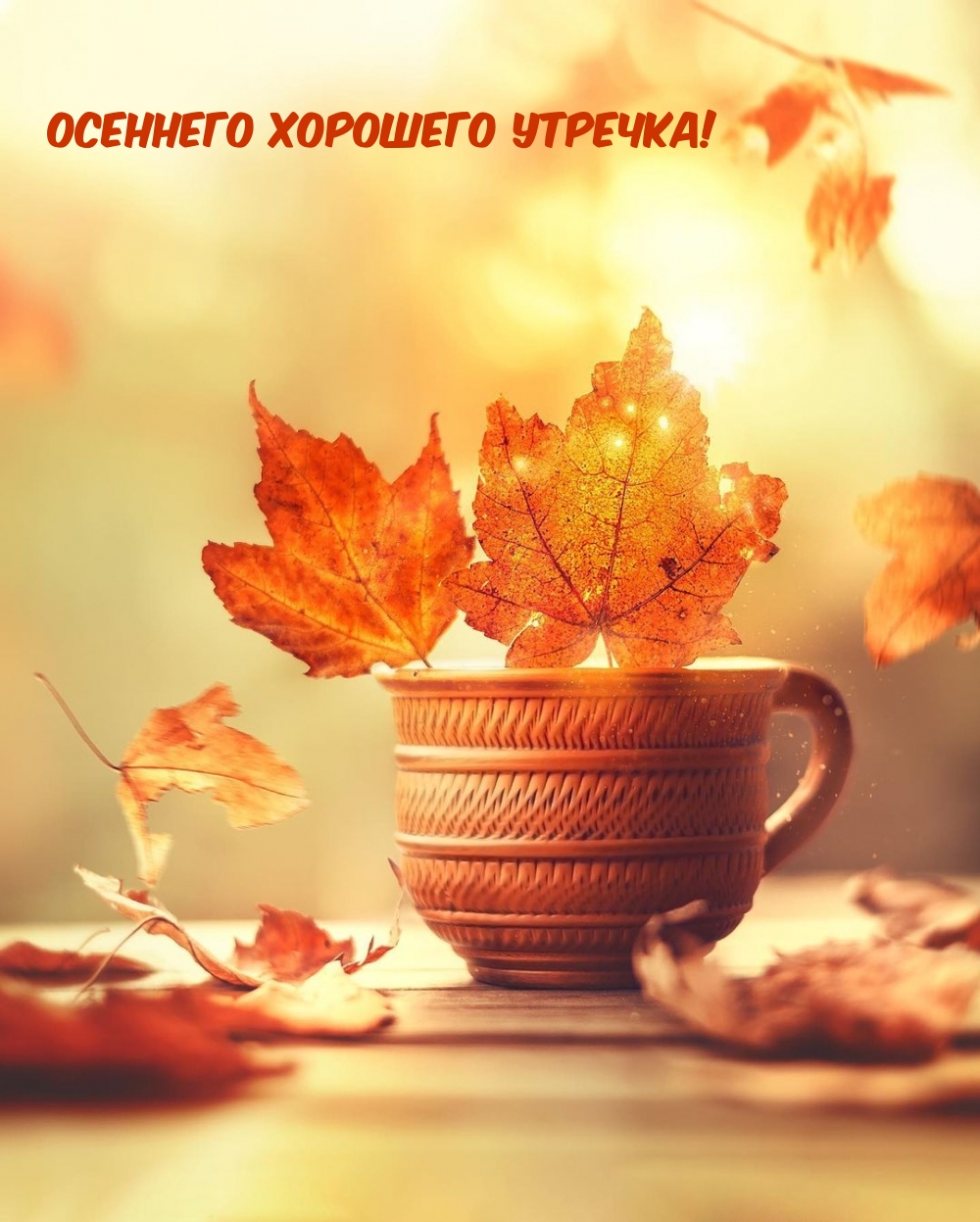 Осеннего хорошего утречка!