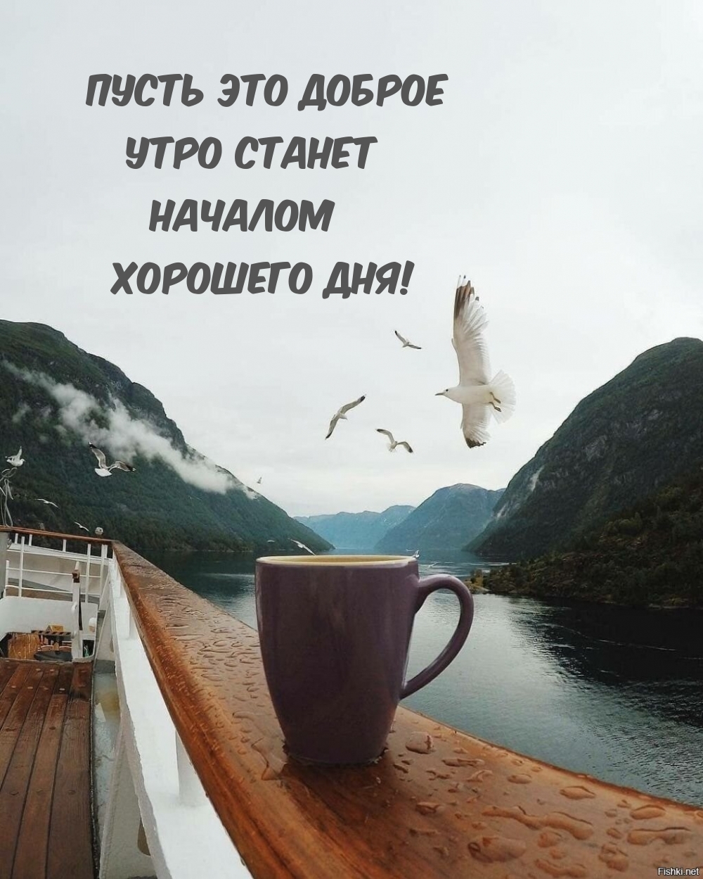 Пусть это доброе утро станет началом хорошего дня!