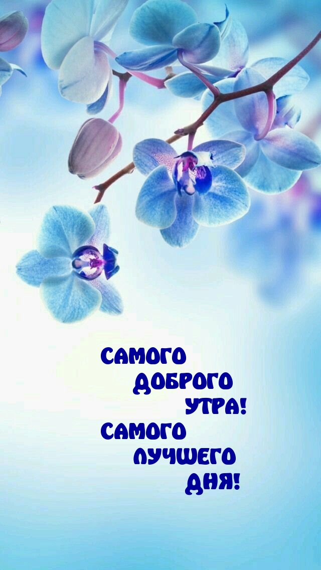 Самого доброго утра! Самого лучшего дня!