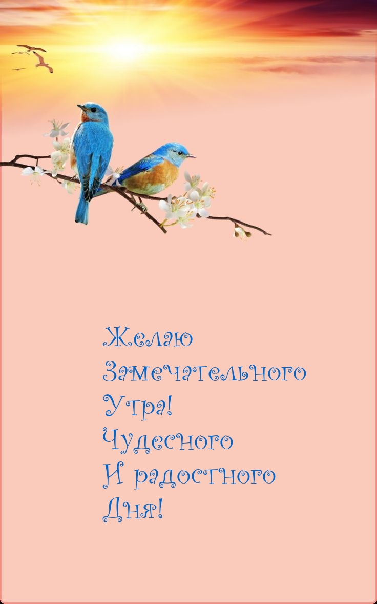Желаю замечательного утра! Чудесного и радостного дня!