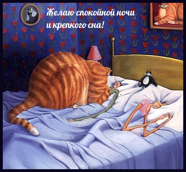Желаю спокойной ночи и крепкого сна!