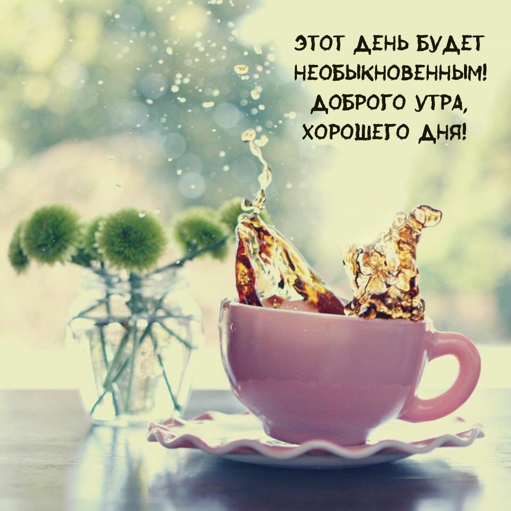 Этот день будет необыкновенным! Доброго утра