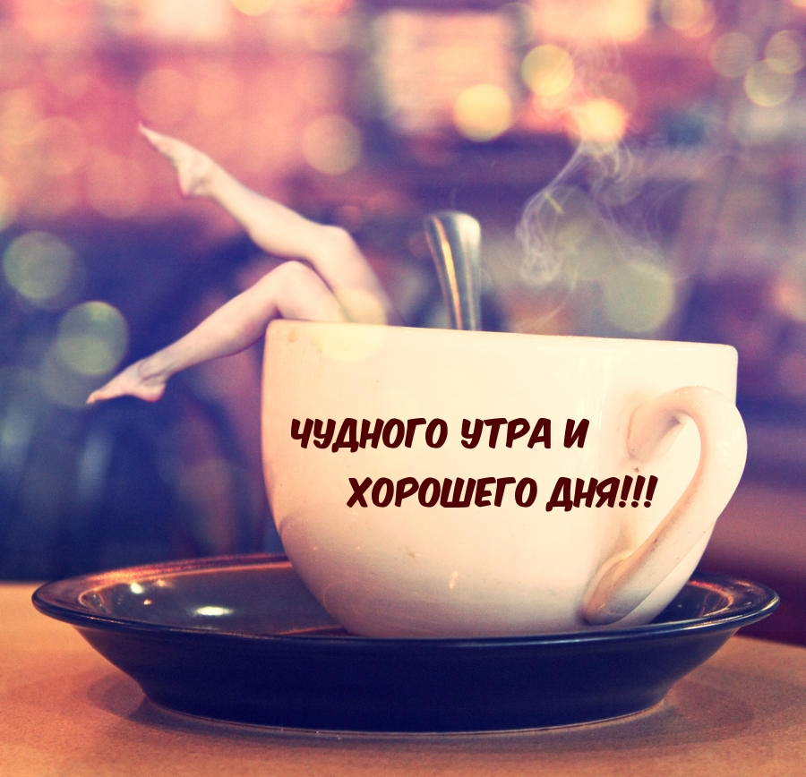 Чудного утра и Хорошего дня!