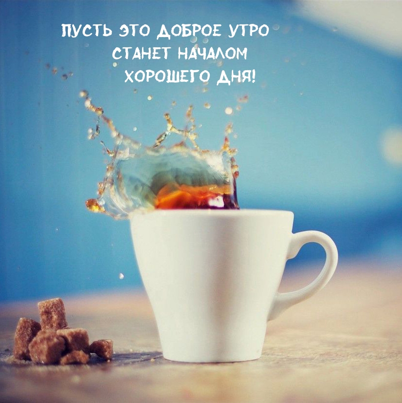 Пусть это доброе утро станет началом хорошего дня!