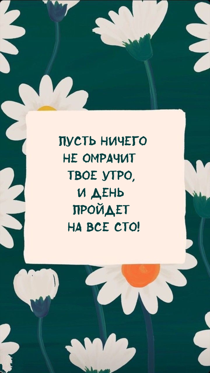 Пусть ничего не омрачит твое утро, и день пройдет на все сто!