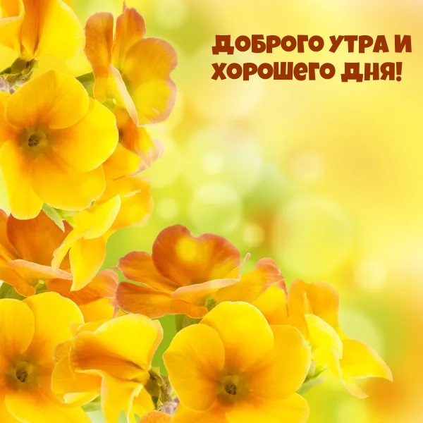 Доброго утра и хорошего дня!