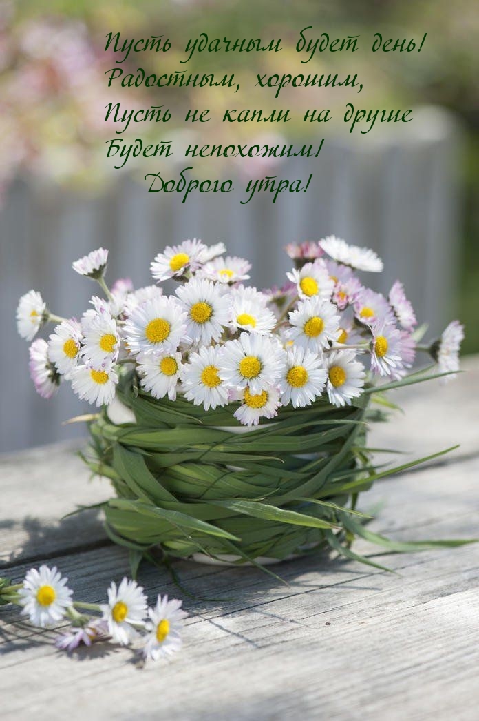 Доброго утра! Пусть удачным будет день! Радостным, хорошим