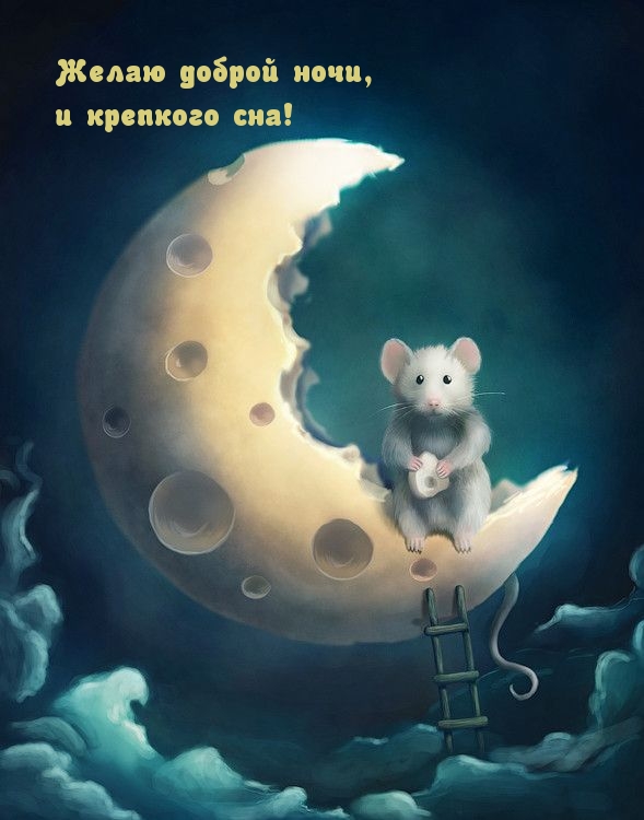 Желаю доброй ночи, и крепкого сна!