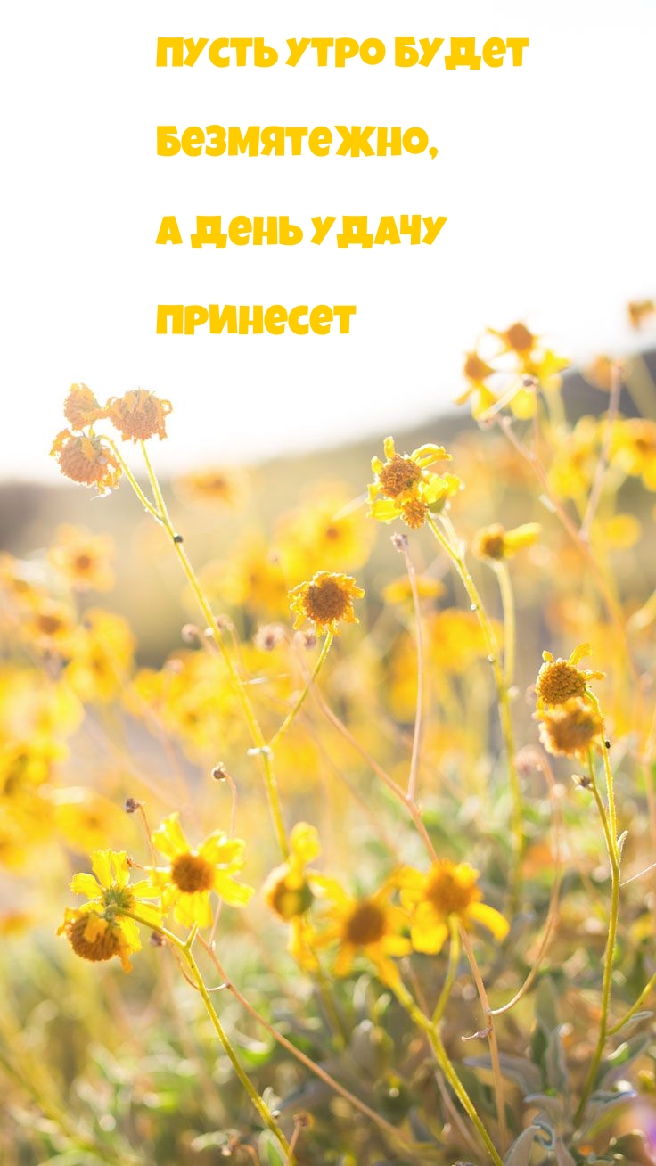 Пусть утро будет безмятежно, а день удачу принесет