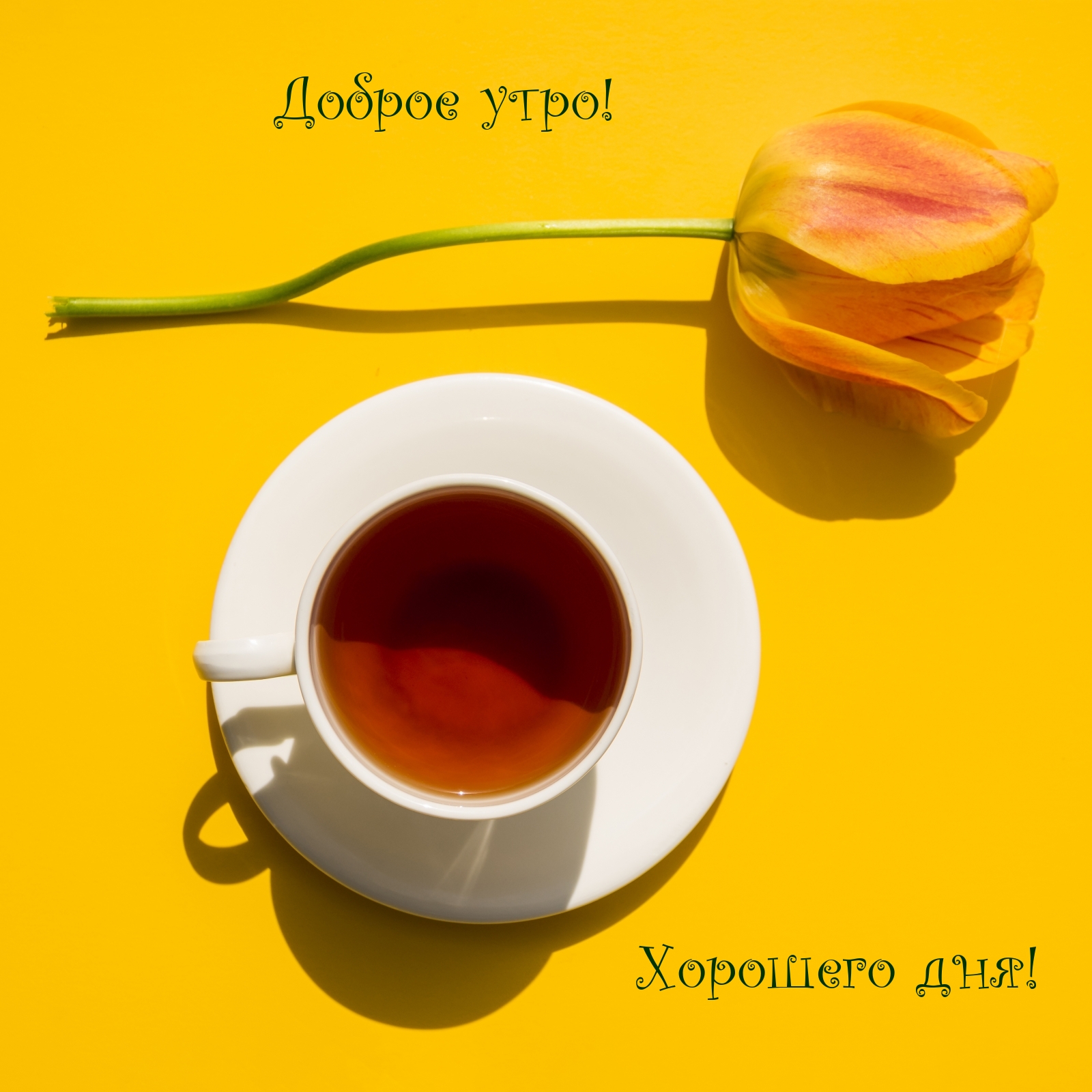 Доброе утро! Хорошего дня!