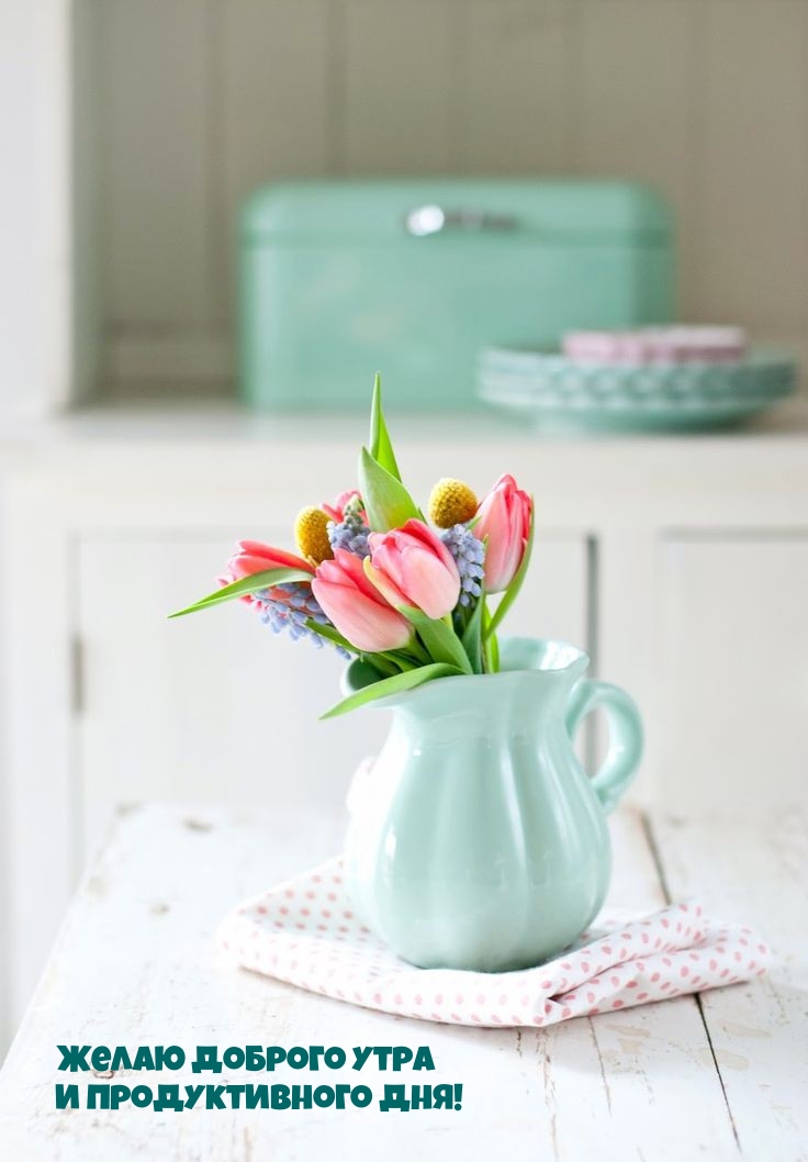 Желаю доброго утра и продуктивного дня!