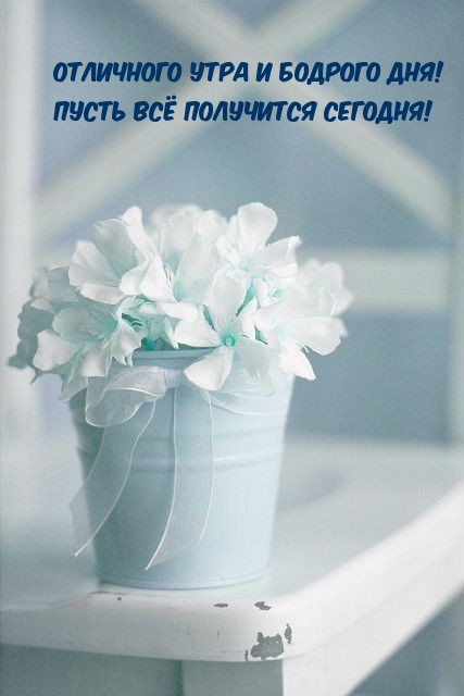 Отличного утра и бодрого дня! Пусть всё получится сегодня!