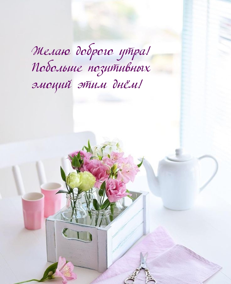 Желаю доброго утра! Побольше позитивных эмоций этим днём!