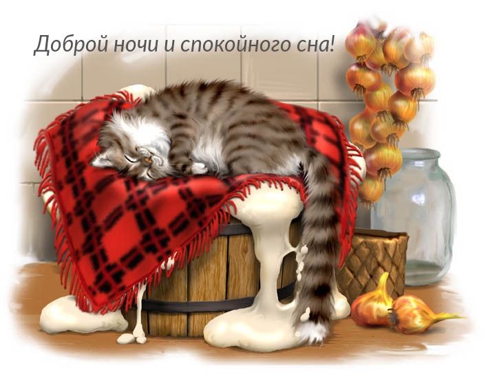 Доброй ночи и спокойного сна!