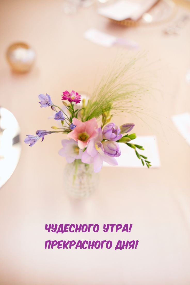 Чудесного утра! Прекрасного дня!