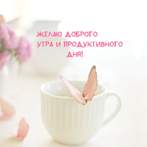 Желаю доброго утра и продуктивного дня!