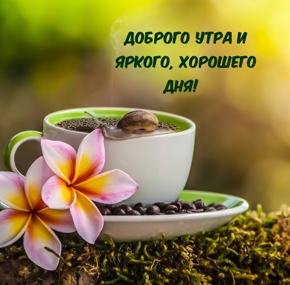 Доброго утра и Яркого, хорошего Дня!