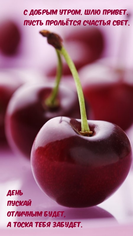 С добрым утром. Шлю привет. Пусть прольётся счастья свет.