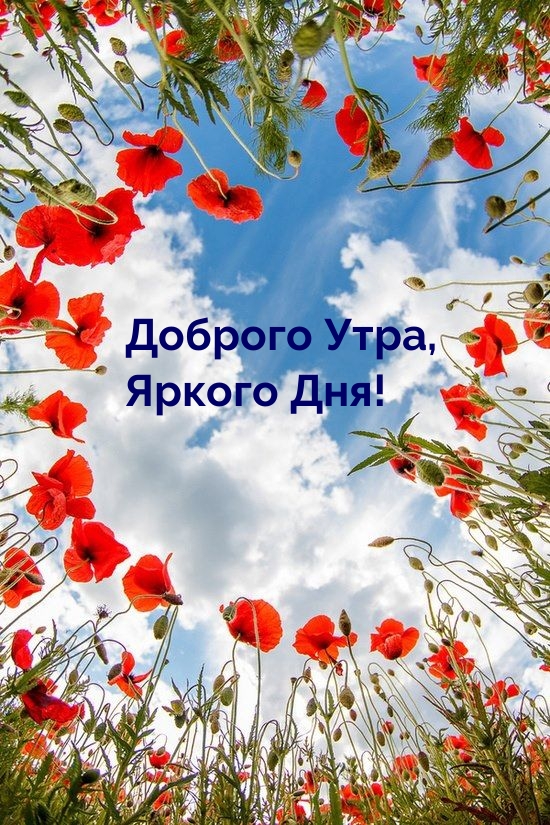 Доброго Утра, Яркого Дня!