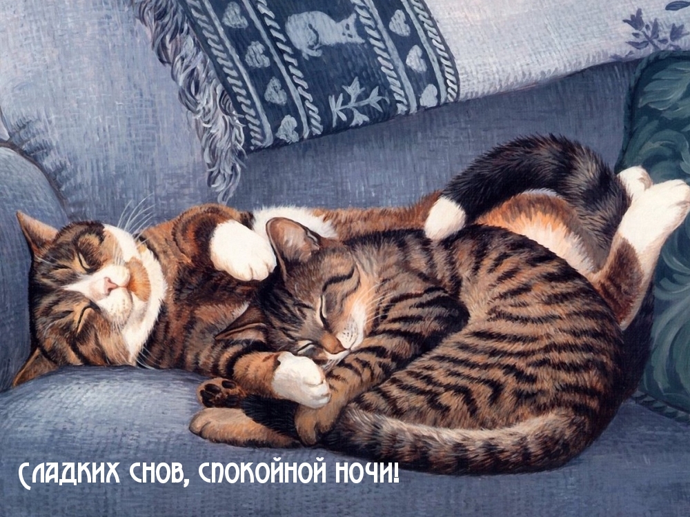 Сладких снов, спокойной ночи!