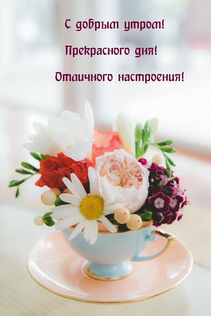 С добрым утром! Прекрасного дня! Отличного настроения!