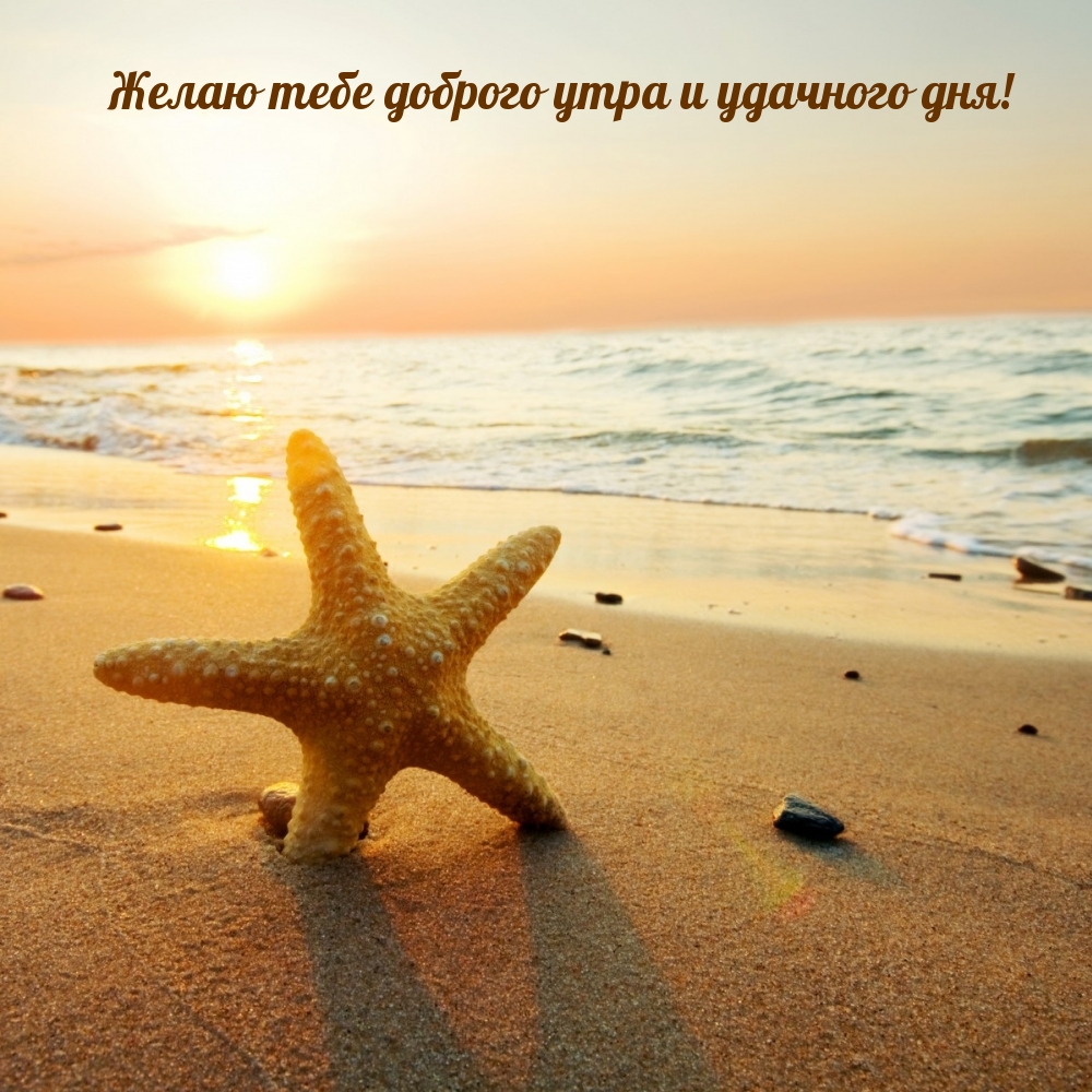 Желаю тебе доброго утра и удачного дня!