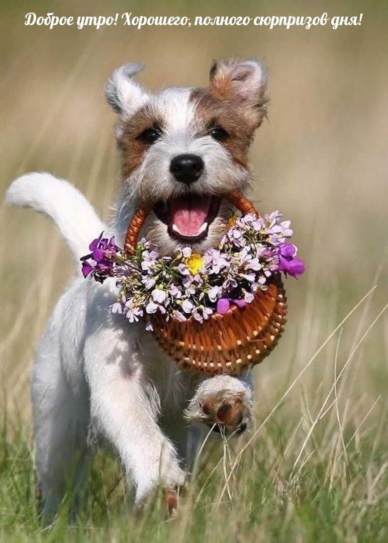 Доброе утро! Хорошего, полного сюрпризов дня!