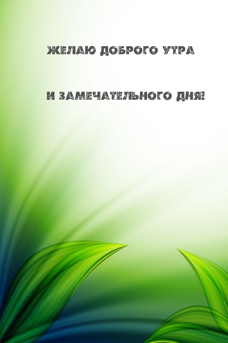 Желаю доброго утра и замечательного дня!