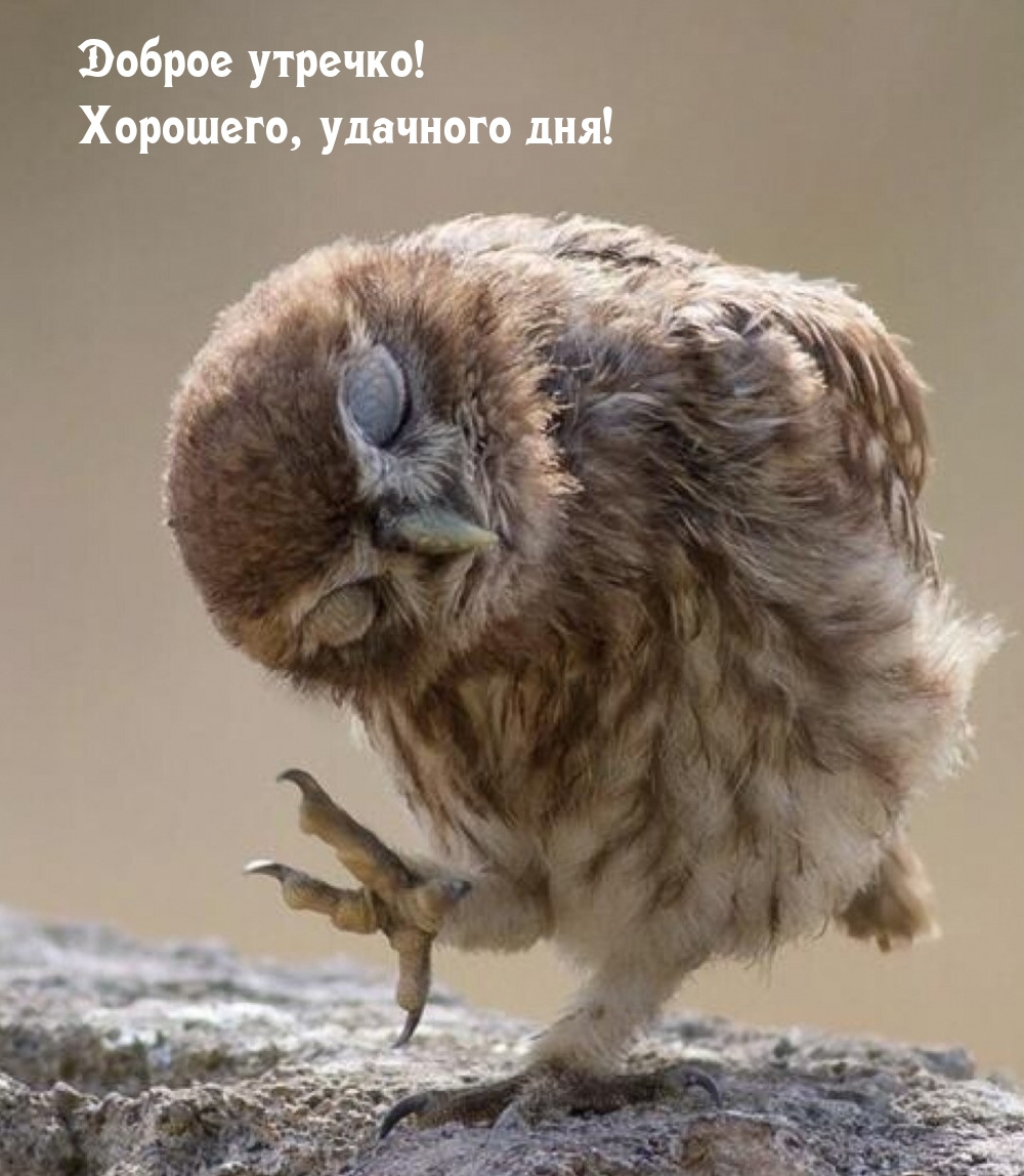 Доброе утречко! Хорошего, удачного дня!