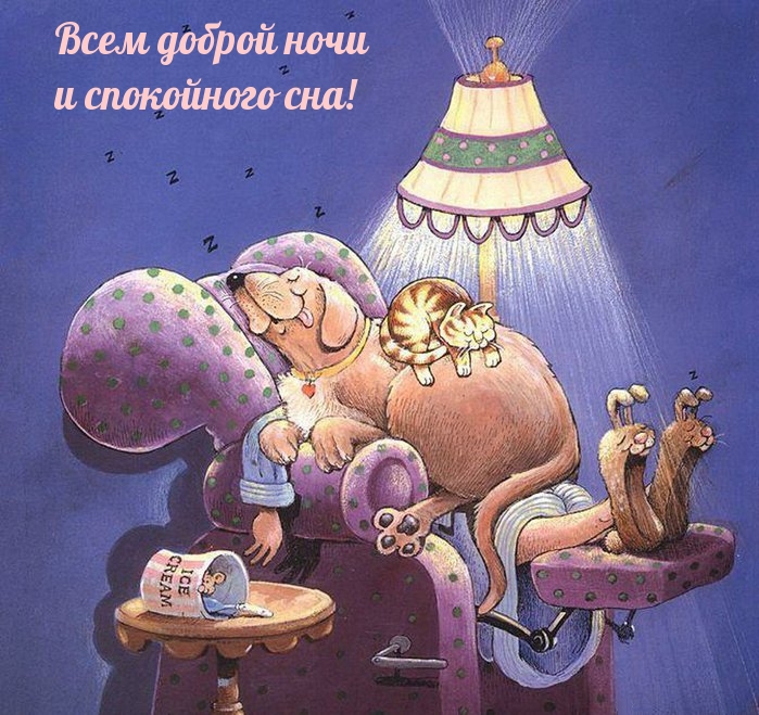 Всем доброй ночи и спокойного сна!