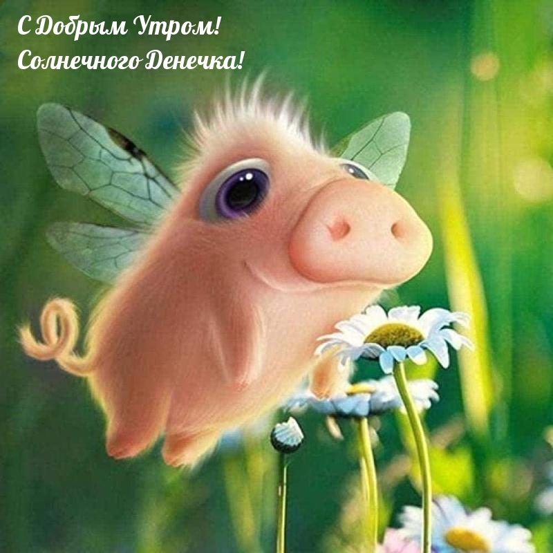 С Добрым Утром! Солнечного Денечка!