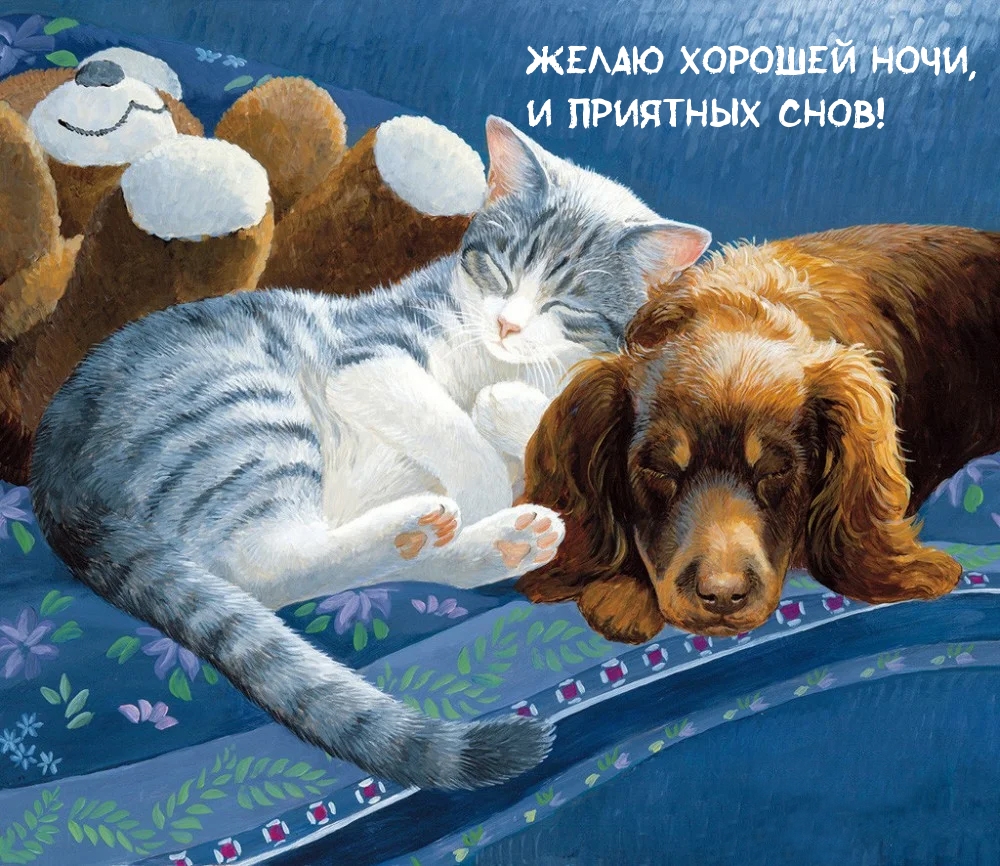 Желаю хорошей ночи, и приятных снов!