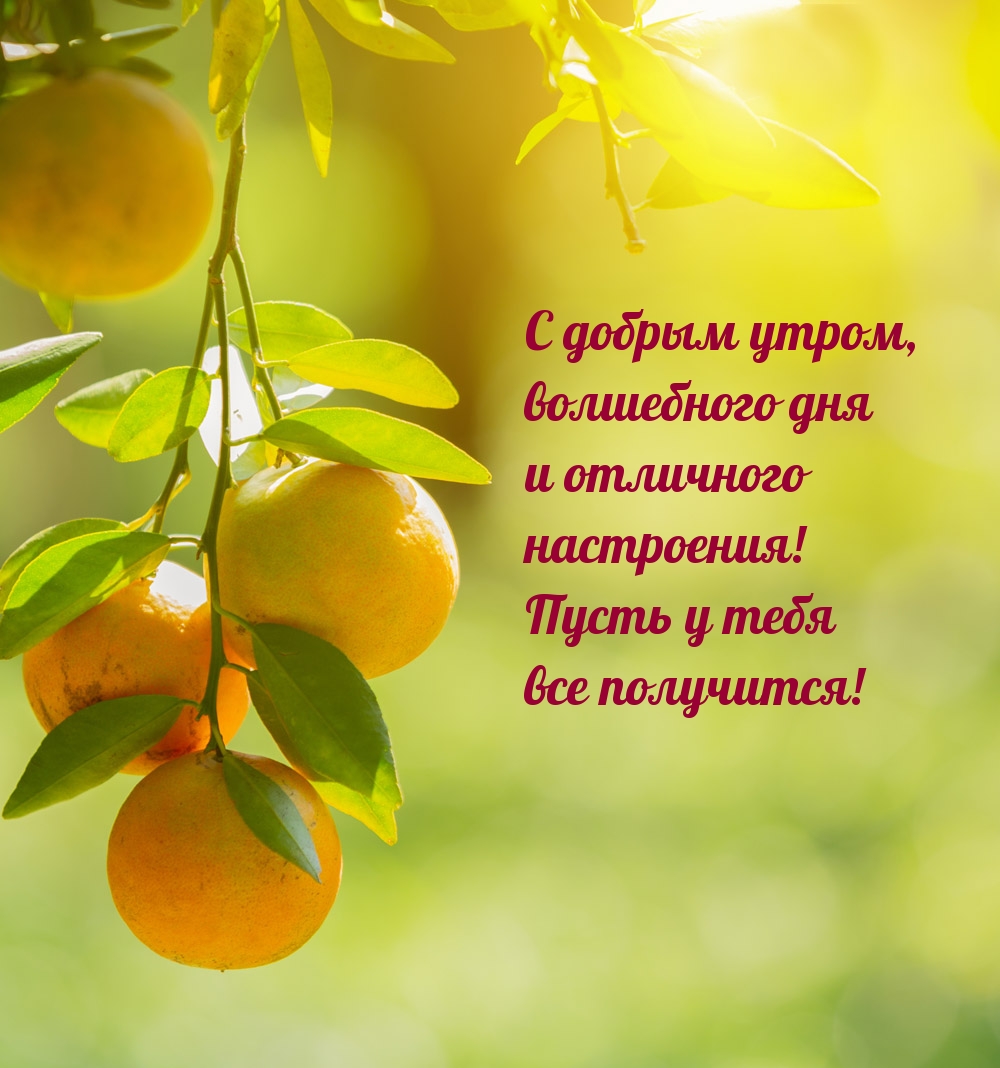 С добрым утром, волшебного дня и отличного настроения!