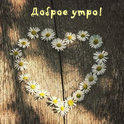 Доброе утро!