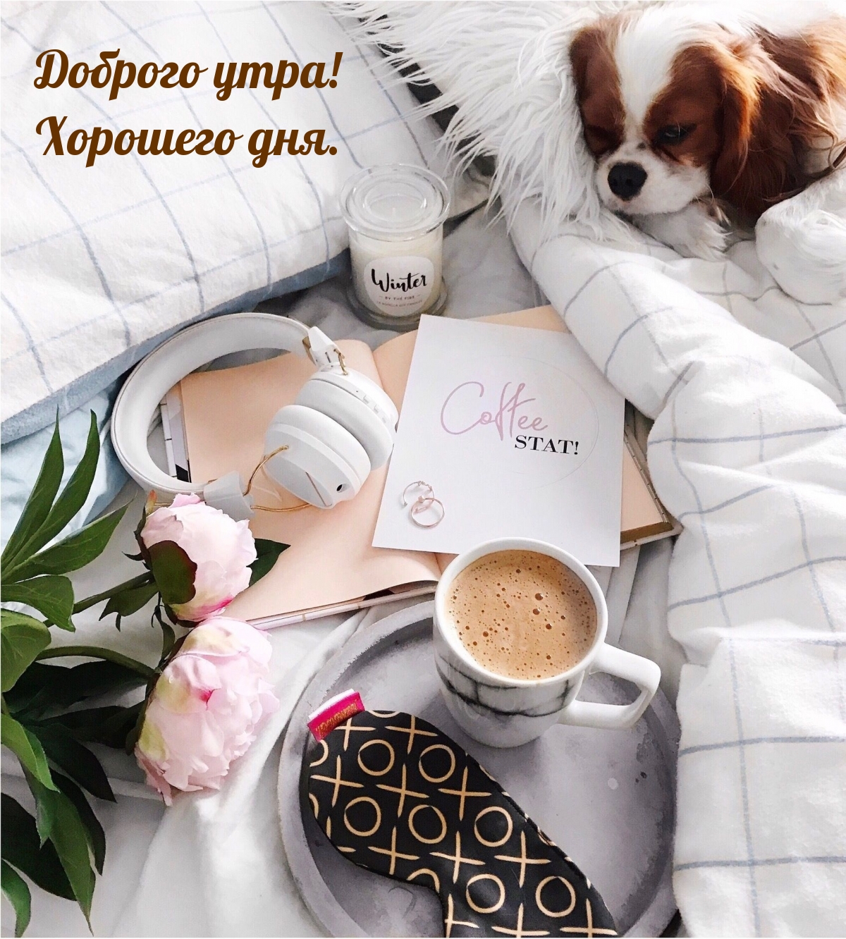 Доброго утра! Хорошего дня.