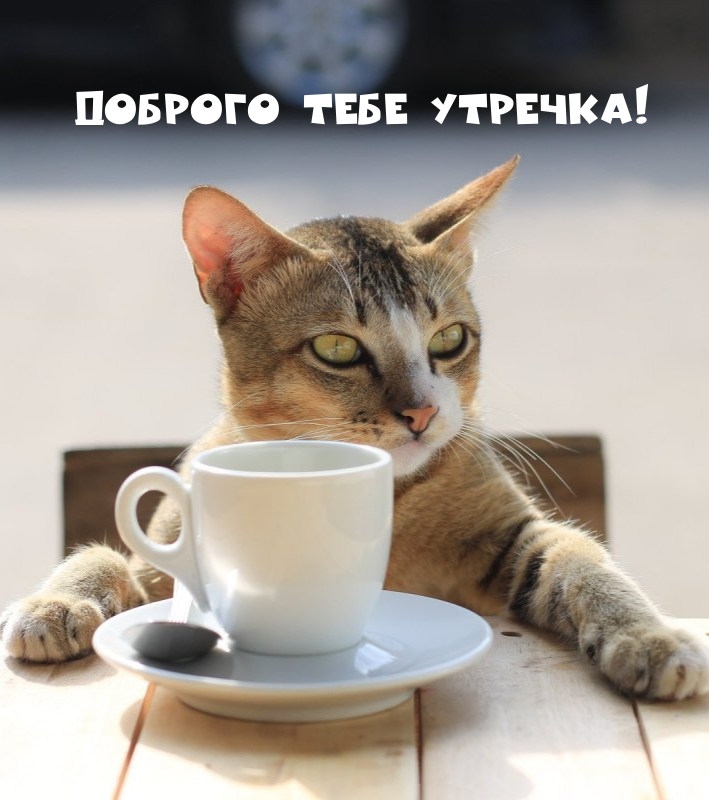 Доброго тебе утречка!