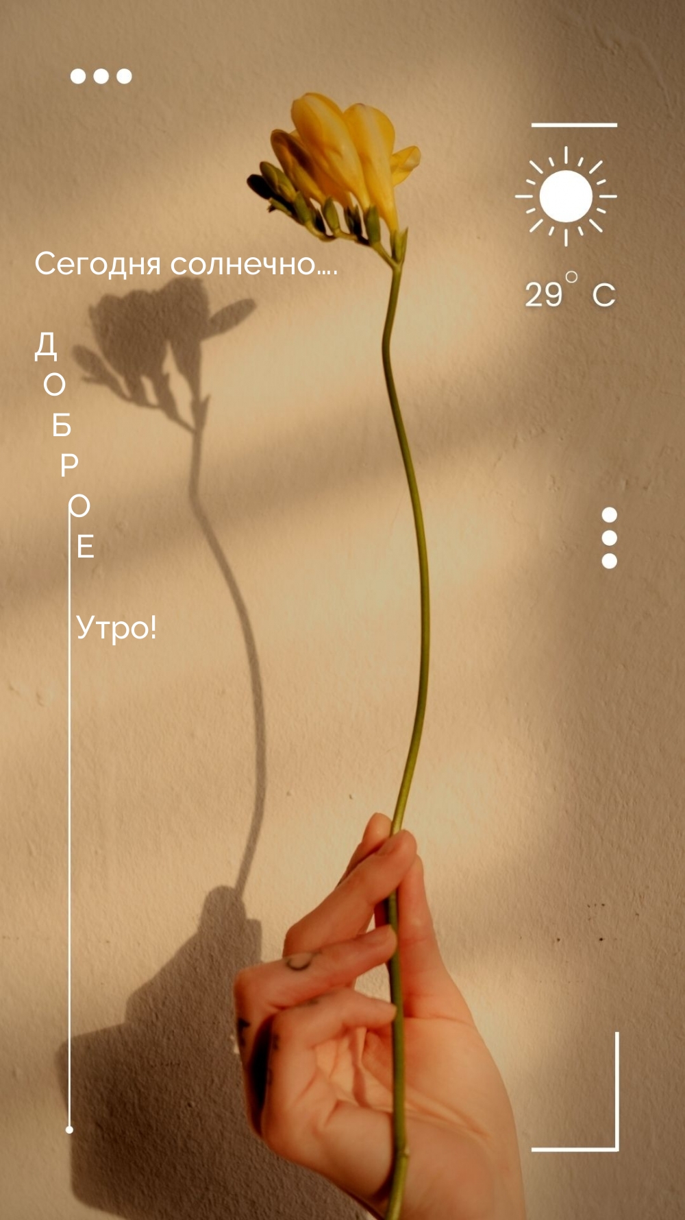 Сегодня солнечно… Доброе утро!