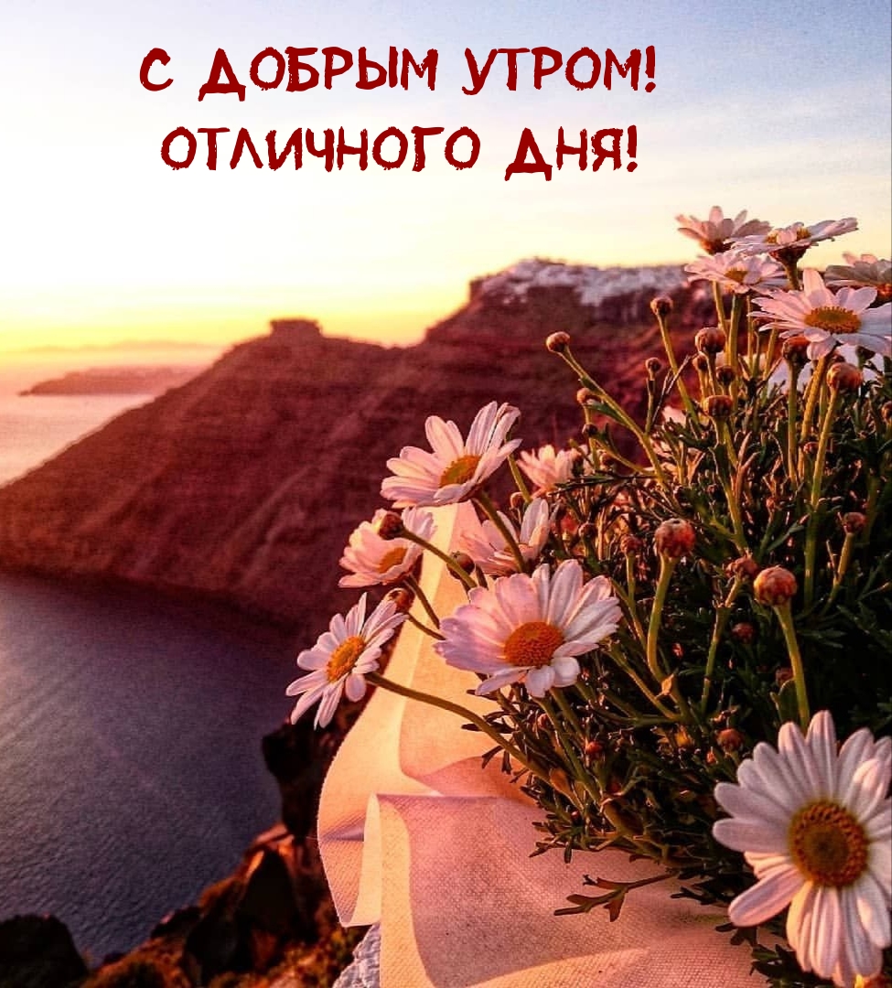 С добрым утром! Отличного дня!