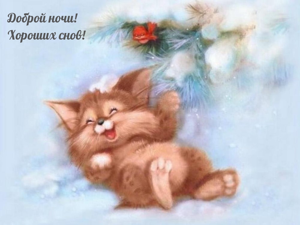 Доброй ночи! Хороших снов!