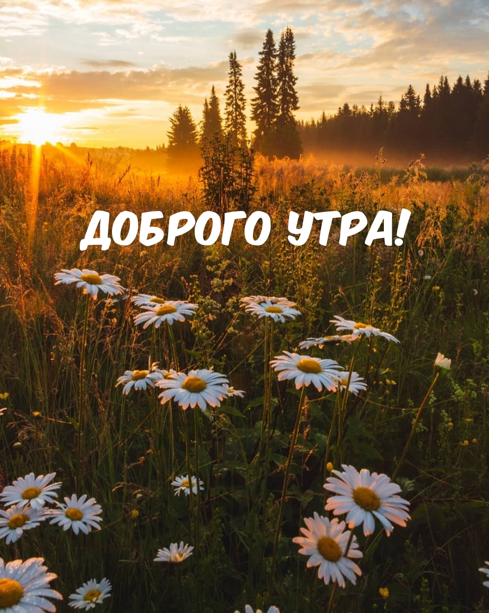 Доброго утра!