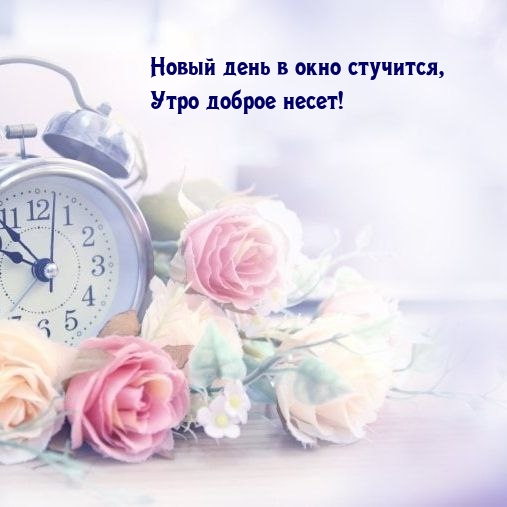 Новый день в окно стучится, утро доброе несет!