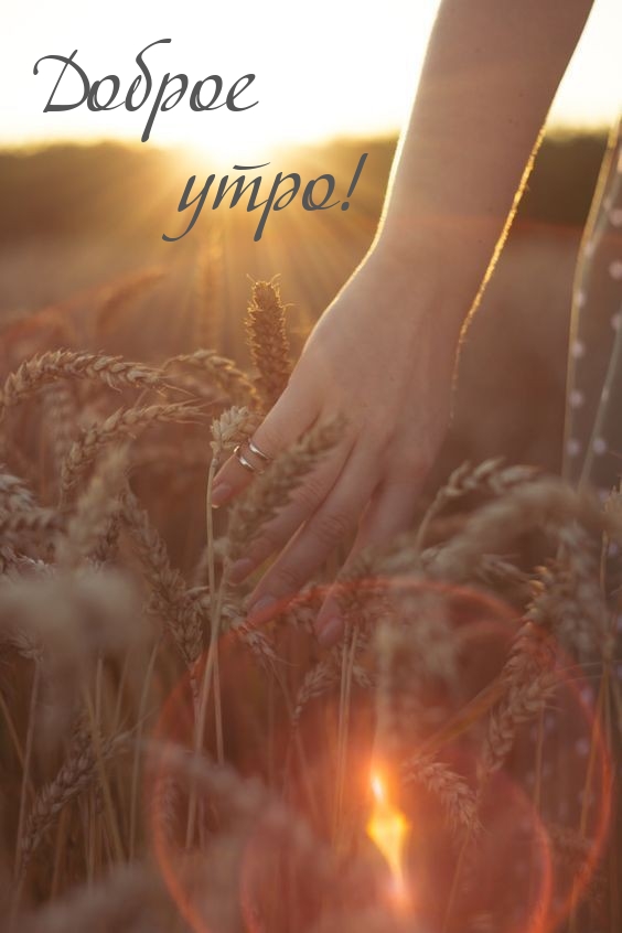 Доброе утро!