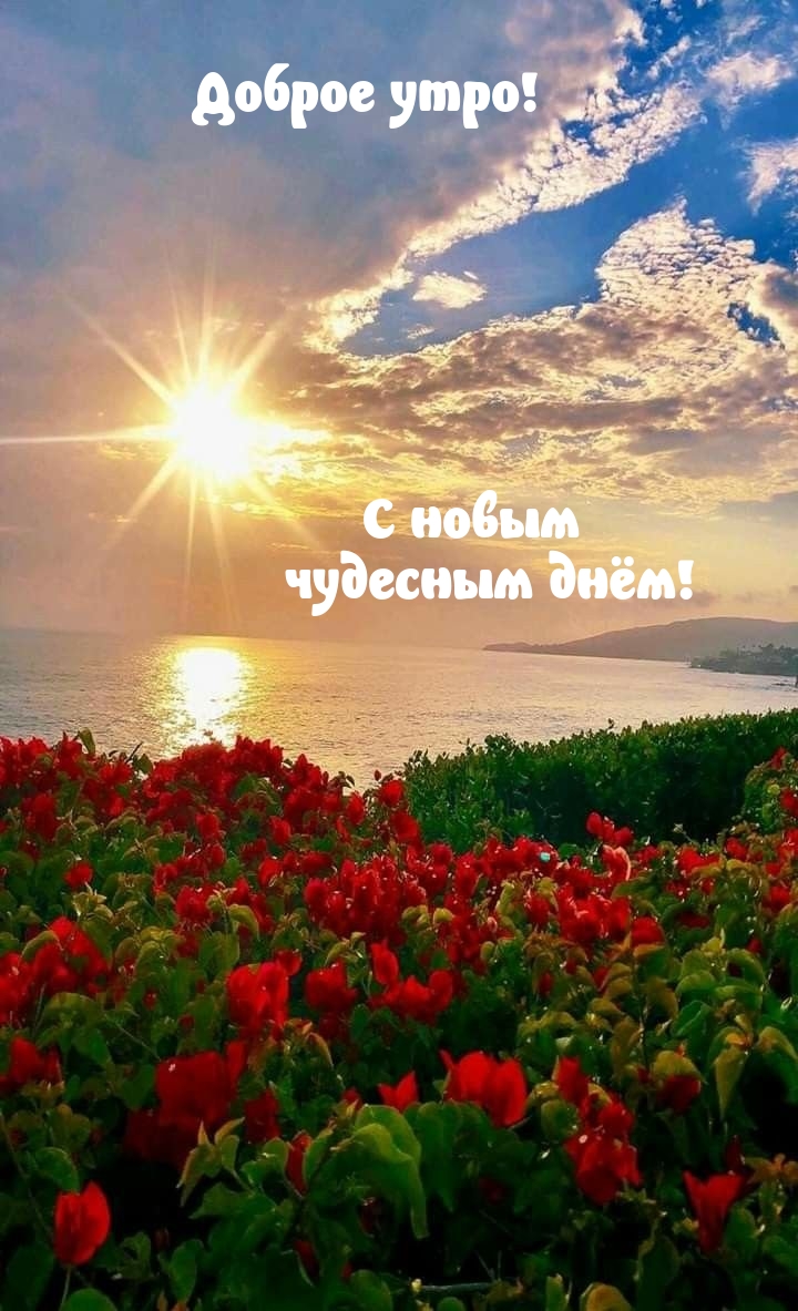Доброе утро! С новым чудесным днём!