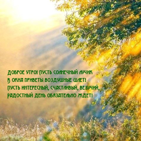 Доброе утро! Пусть лучик в окна приветы воздушные шлет!