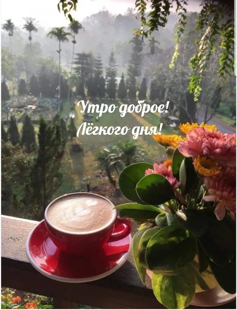Утро доброе! Лёгкого дня!