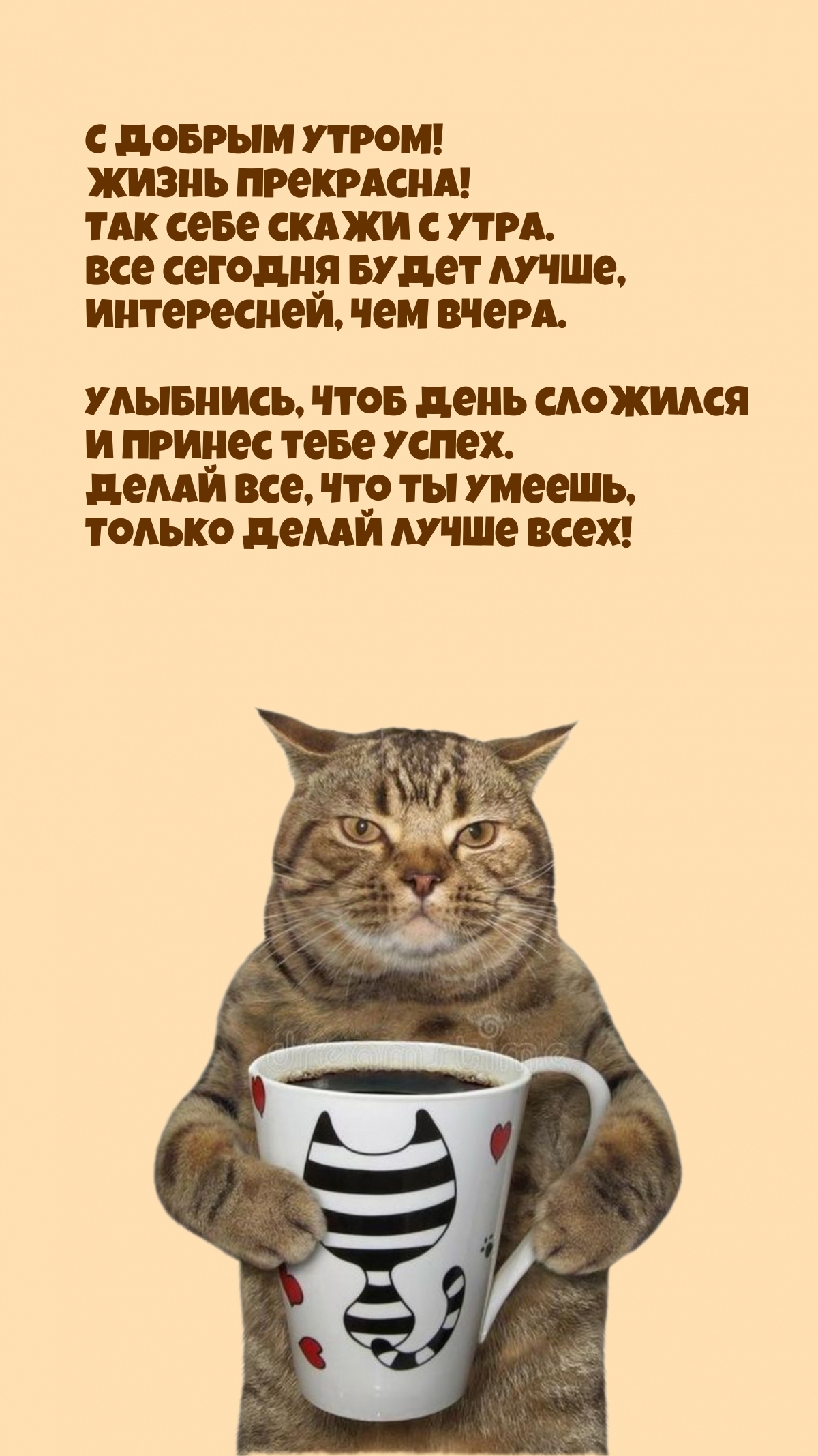С добрым утром! Жизнь прекрасна! Так себе скажи с утра.