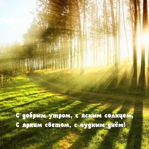 С добрым утром, с ясным солнцем