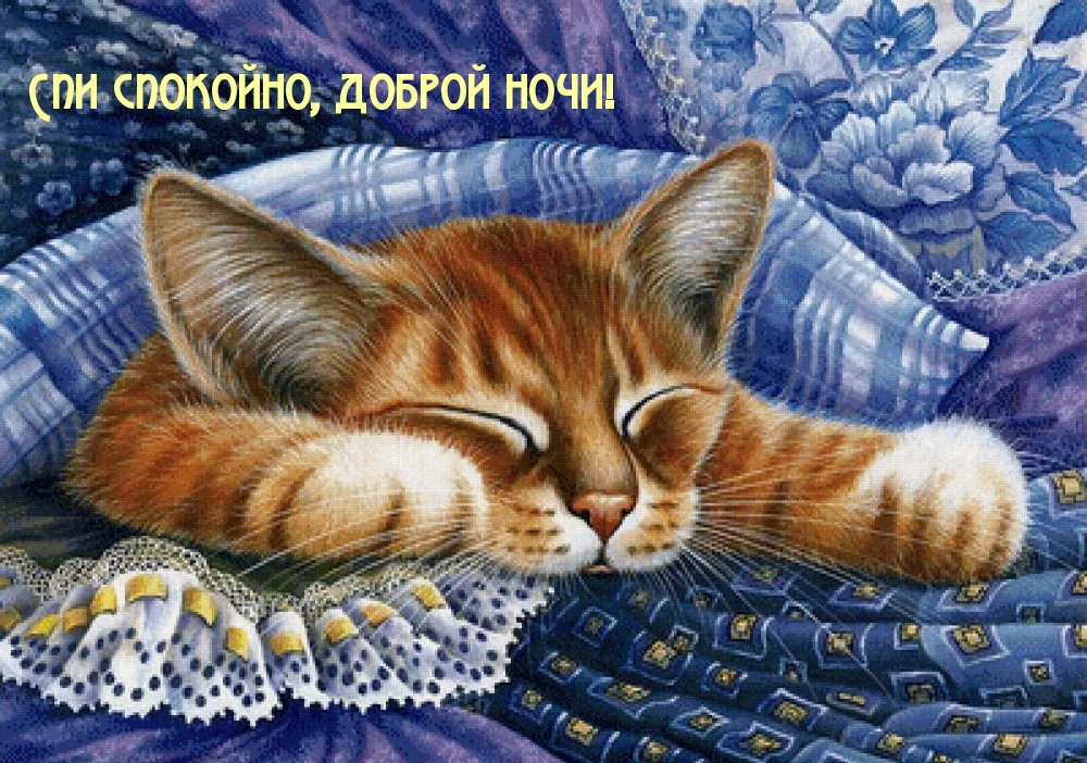 Спи спокойно, доброй ночи!