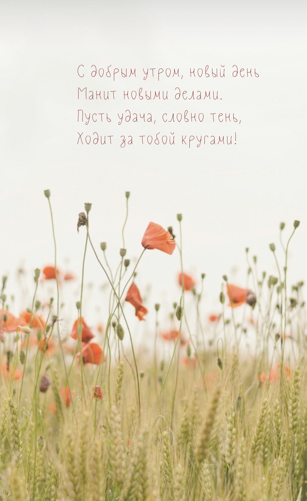 С добрым утром, новый день манит новыми делами.