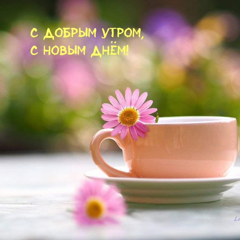 С добрым утром, С новым днём!
